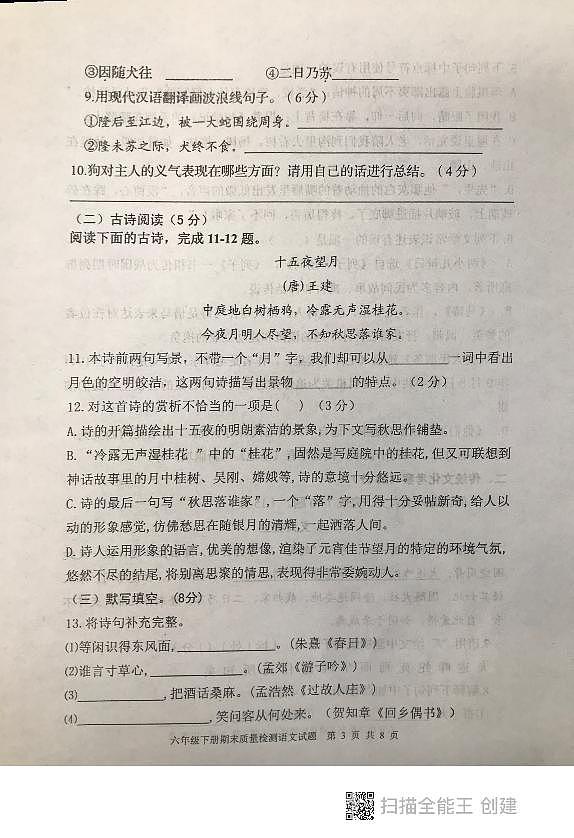 山东省泰安市东平县2022-2023学年（五四学制）六年级下学期期末语文试题第3页