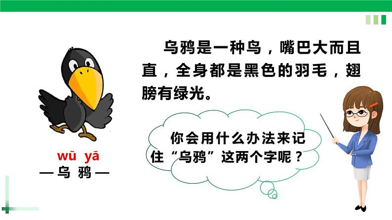 一年级语文上册第八单元课文四《13乌鸦喝水》精品同步PPT课件+教案+说课稿+课文朗读+图片素材03