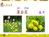 16《金色的草地》課件+教案