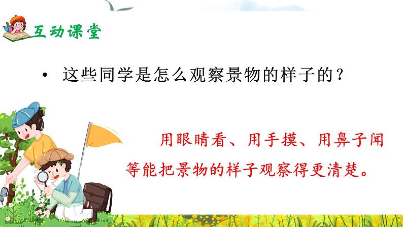 《习作：这儿真美》课件+教案07