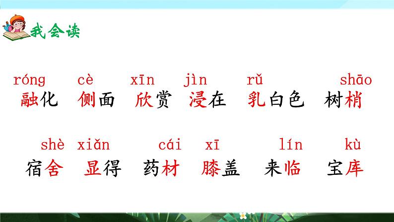 20《美丽的小兴安岭》课件+教案04