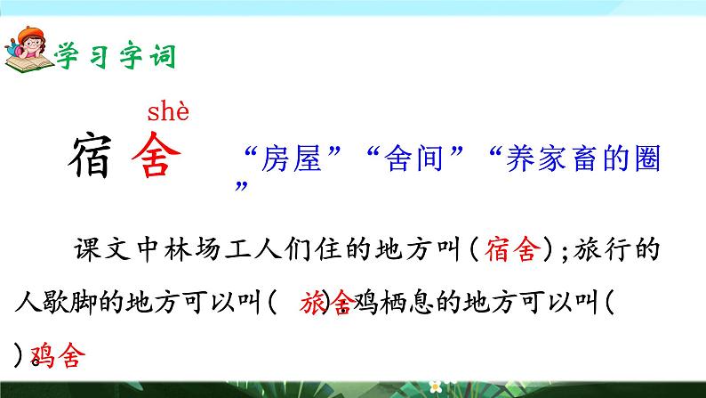 20《美丽的小兴安岭》课件+教案05