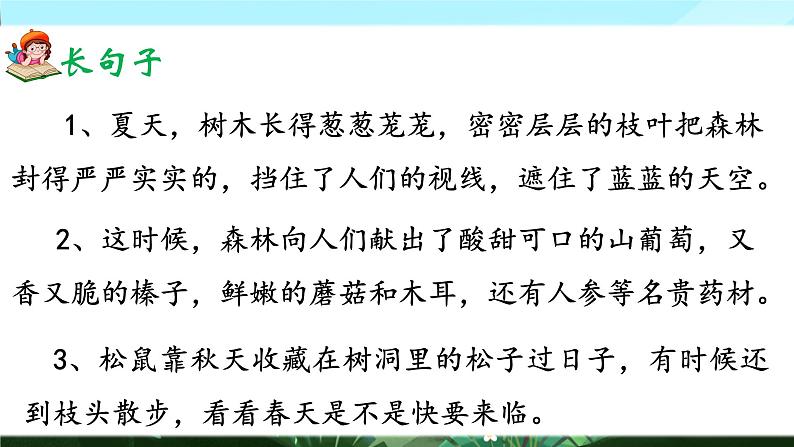 20《美丽的小兴安岭》课件+教案07