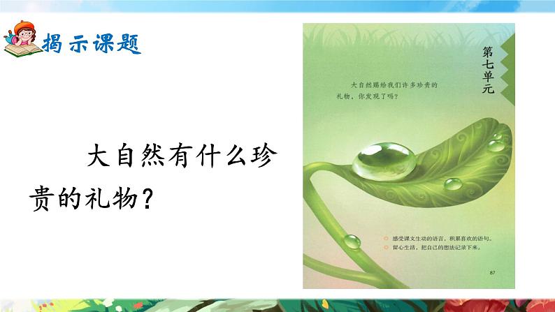 21《大自然的声音》课件+教案02