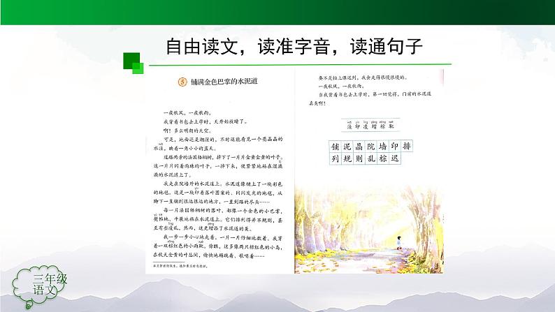 【授课课件】三年级上册语文 5《铺满金色巴掌的水泥道》（第一课时）（人教部编版第8页