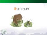 【授课课件】三年级上册语文 10《在牛肚子里旅行》第一课时（人教部编版）