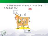 【授课课件】三年级上册语文 10《在牛肚子里旅行》第二课时（人教部编版