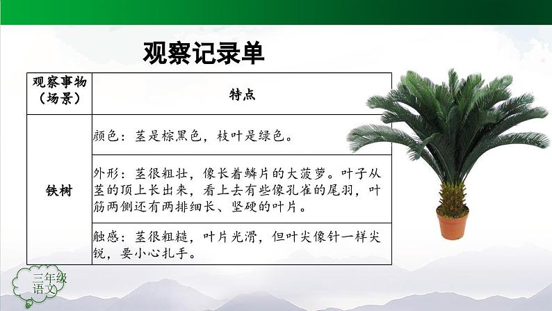 【授课课件】三年级上册语文我们眼中的 第五单元习作缤纷世界（第一课时）（人教部编版）第4页