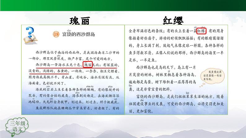 【授课课件】三年级上册语文 18《富饶的西沙群岛》第一课时（人教部编版）06