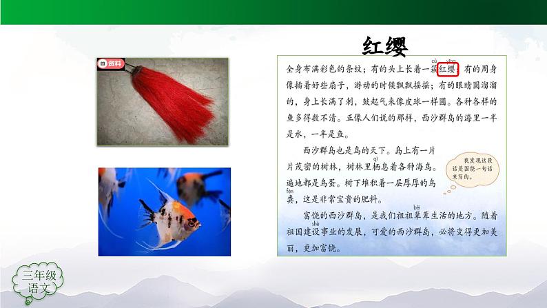 【授课课件】三年级上册语文 18《富饶的西沙群岛》第一课时（人教部编版）07