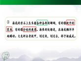 【授课课件】三年级上册语文 18《富饶的西沙群岛》第二课时（人教部编版）