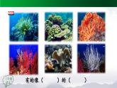 【授课课件】三年级上册语文 18《富饶的西沙群岛》第二课时（人教部编版）