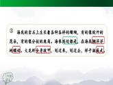【授课课件】三年级上册语文 18《富饶的西沙群岛》第二课时（人教部编版）