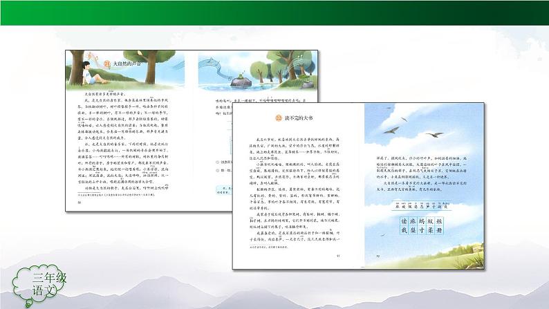 【授课课件】三年级语文上册 23《父亲、树林和鸟》第一课时（人教部编版）02