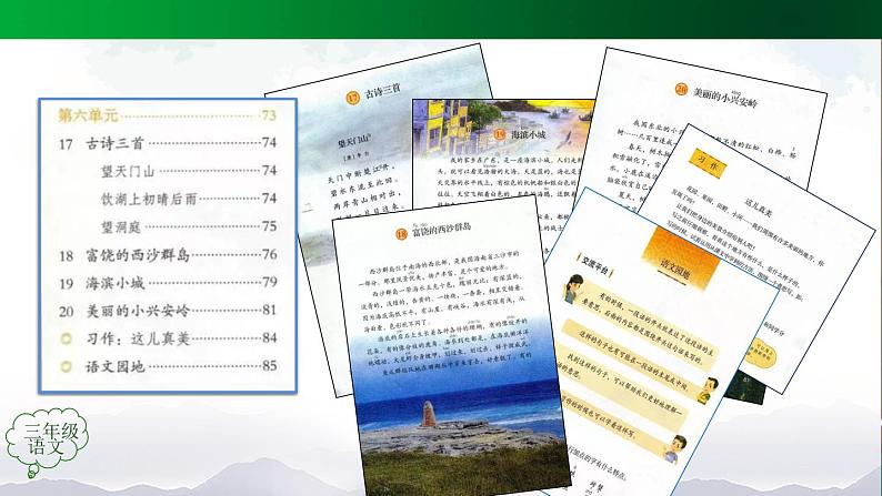 【授课课件】三年级上册语文 17《古诗三首》（人教部编版）02