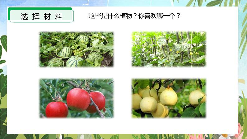 第一单元 习作：我的植物朋友（课件）-2023-2024学年三年级语文下册单元作文（部编版）第7页