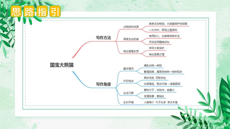 第七单元 习作：国宝大熊猫（课件）-2023-2024学年三年级语文下册单元作文（部编版）第4页