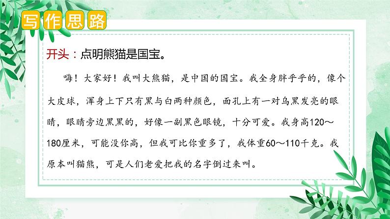 第七单元 习作：国宝大熊猫（课件）-2023-2024学年三年级语文下册单元作文（部编版）第6页