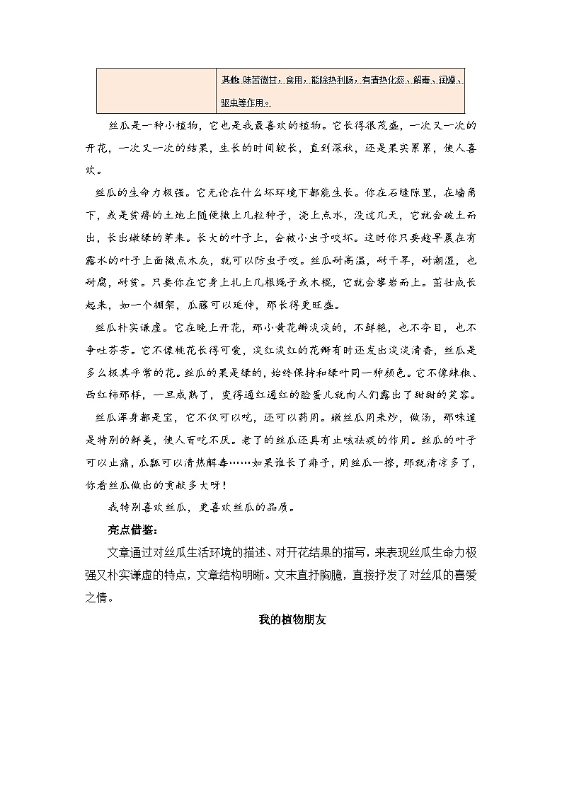 专题 10习作训练  --2023-2024学年三年级语文下册期末专项复习（部编版）03