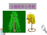 语文园地三《小柳树和小枣树》（课件）-2021-2022学年语文二年级下册