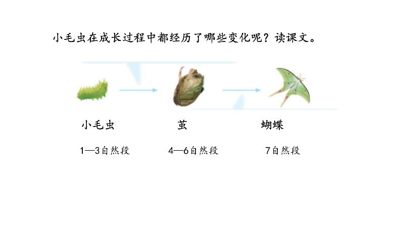 22+《小毛虫》（课件）部编版语文二年级下册第7页