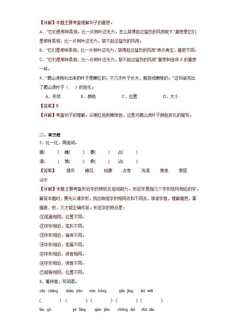 10.爬山虎的脚同步练习试题-2023-2024学年部编版语文四年级上册02
