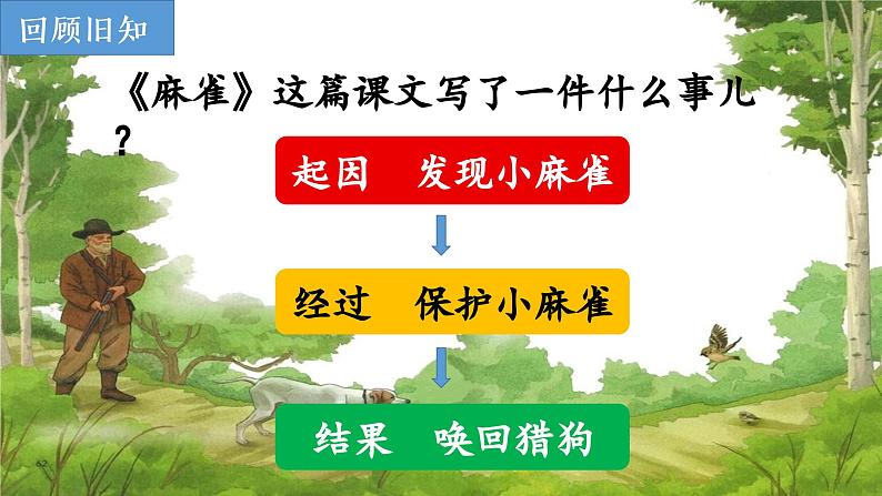 部编版小学语文四年级上册第五单元单元整体教学《麻雀》课件03