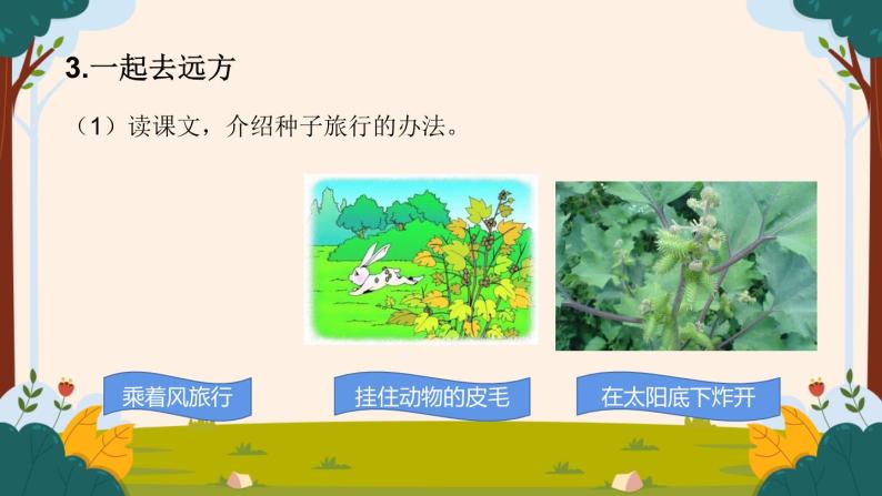 部编版语文二上第一单元 任务三 活动二：听，蒲公英的歌（课件PPT+教案）02