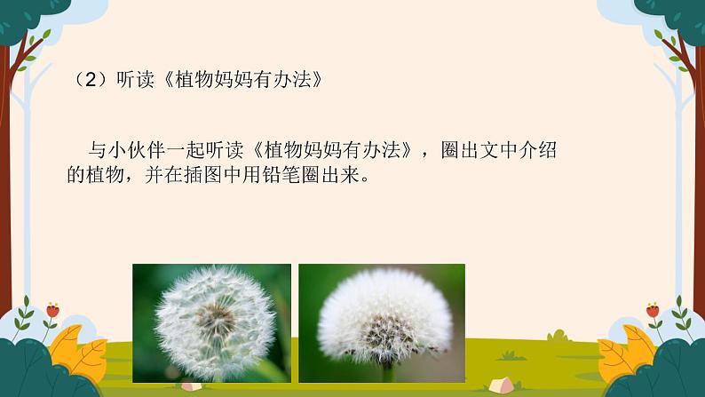 部编版语文二上第一单元 任务三 活动一：逛逛植物园（课件PPT+教案+导读单）03