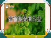 部编版语文二上第一单元 任务三 活动一：逛逛植物园（课件PPT+教案+导读单）