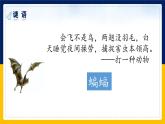 6.夜间飞行的秘密课件PPT