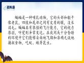 6.夜间飞行的秘密课件PPT