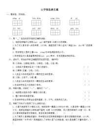 小学语文人教部编版六年级上册宇宙生命之谜练习