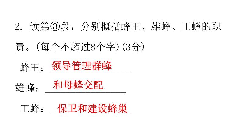 小学毕业语文总复习第七章阅读过关训练教学课件第6页