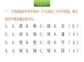 小学毕业语文总复习第二章汉字第三节汉字的辨析教学课件