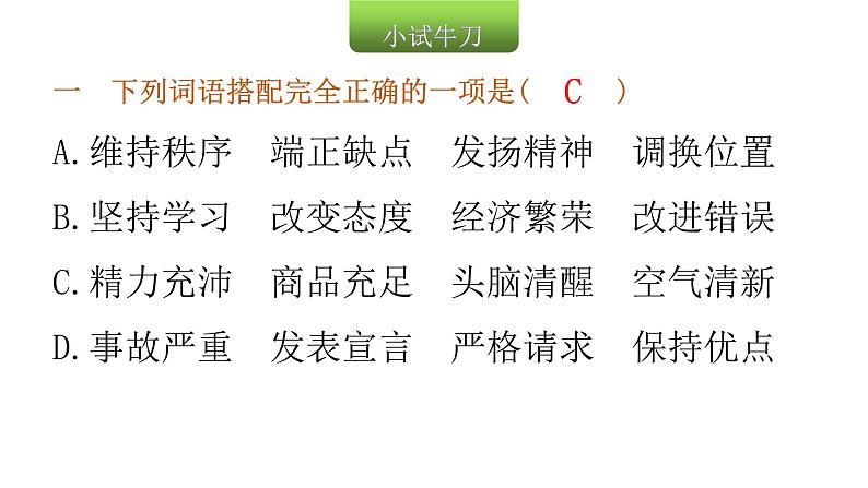 小学毕业语文总复习第三章词语第三节词语的搭配和分类教学课件第3页