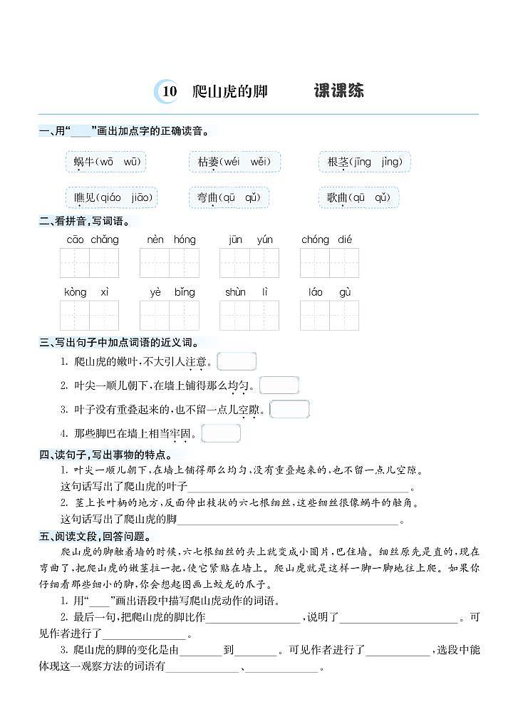 10  爬山虎的脚 课课练第1页