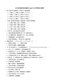 辽宁省沈阳市沈北新区2022-2023学年六年级下学期期末考试语文试题