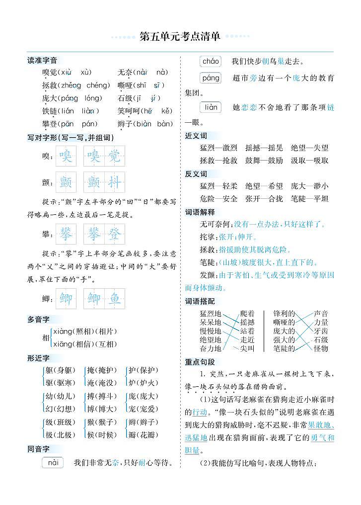 17-部编语文四年级上册第五单元考点清单第1页