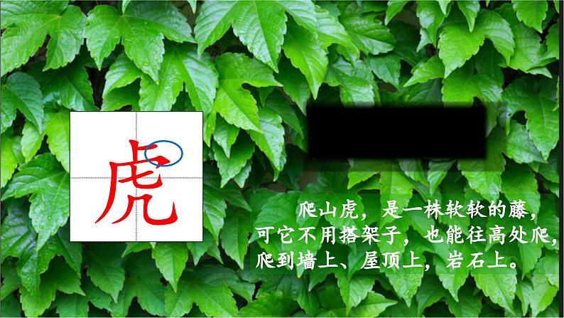 2023-2024学年部编版语文四年级上册公开课教课件 10.爬山虎的脚02