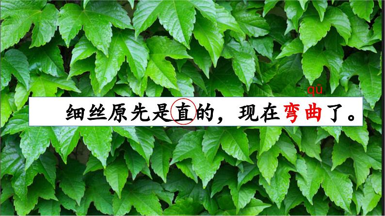 2023-2024学年部编版语文四年级上册公开课教课件 10.爬山虎的脚06