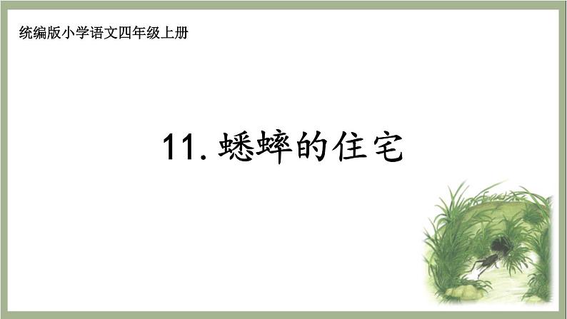 2023-2024学年部编版语文四年级上册公开课课件11蟋蟀的住宅01