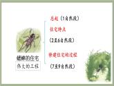 2023-2024学年部编版语文四年级上册公开课课件11蟋蟀的住宅