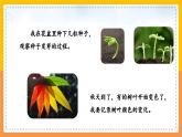 2023-2024学年部编版语文四年级上册公开课教课件 习作：写观察日记