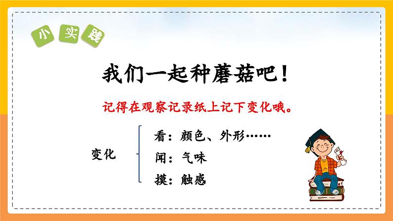 2023-2024学年部编版语文四年级上册公开课教课件 习作：写观察日记07