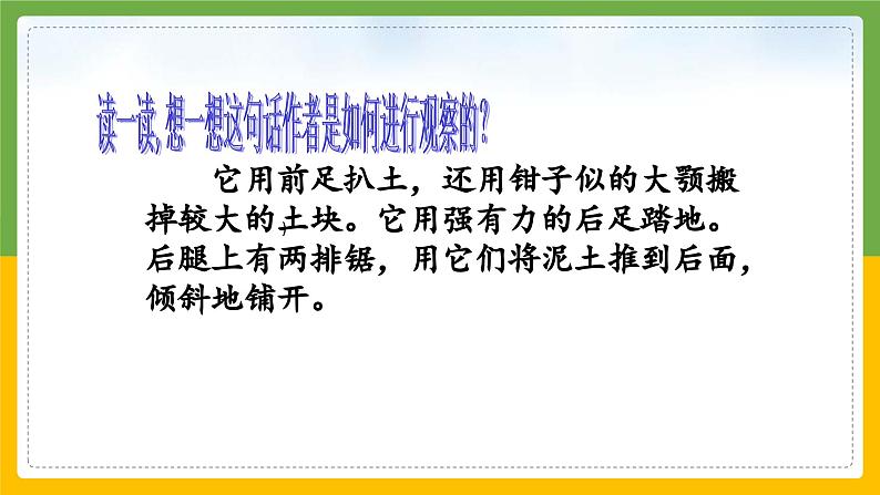 2023-2024学年部编版语文四年级上册公开课教课件 园地三02