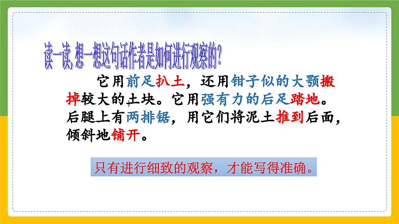 2023-2024学年部编版语文四年级上册公开课教课件 园地三04