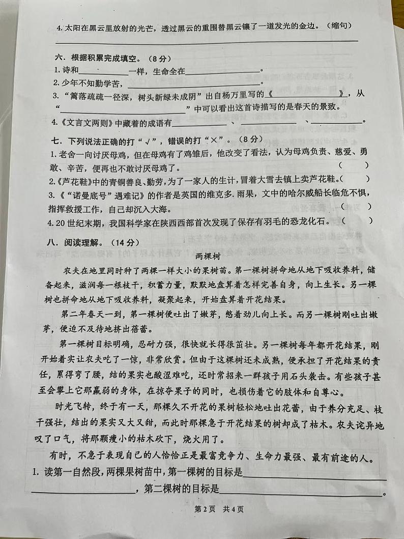 山西省吕梁市中阳县城内北街小学2022-2023学年四年级下学期期末考试语文试卷02