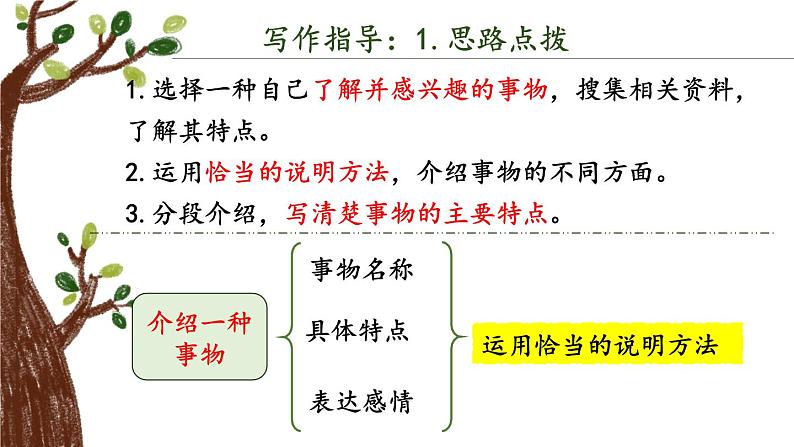 第五单元 习作：介绍一种事物（课件）-小学语文2023-2024学年五年级上册（统编版）08