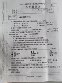 陕西省安康市紫阳县双桥镇中心小学2022-2023学年五年级下学期期末学情评价语文试卷